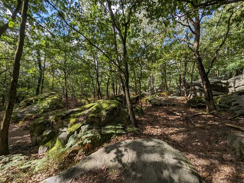 Area cover image showing a relevant boulder.